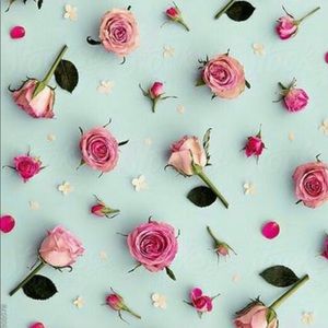 Meet your Posher, Maritza